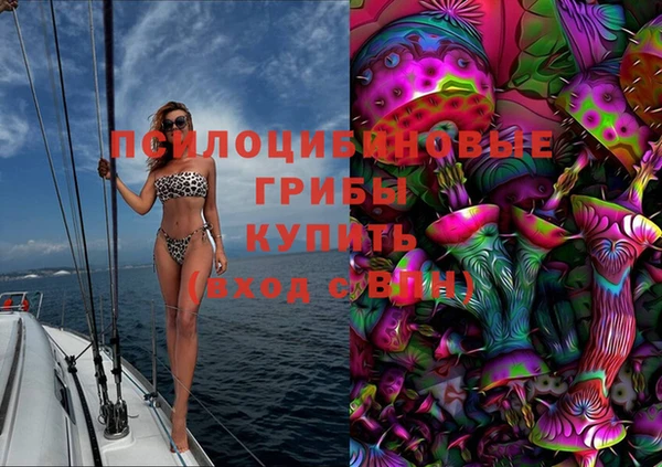 стафф Абаза
